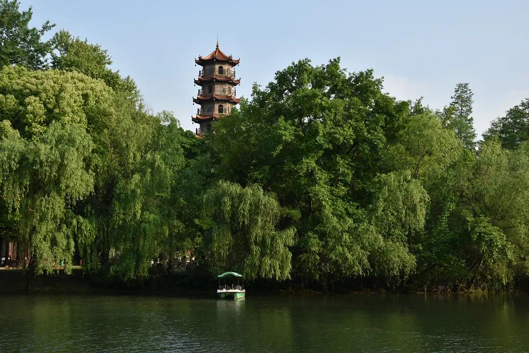 幼儿园|绿就一个字，可是已经把全世界都融化了（一个幼儿园教师的快乐暑假）