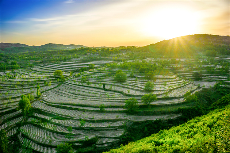 这座因避暑得名的小城，夏天平均19℃！景美空气好，超适合养老