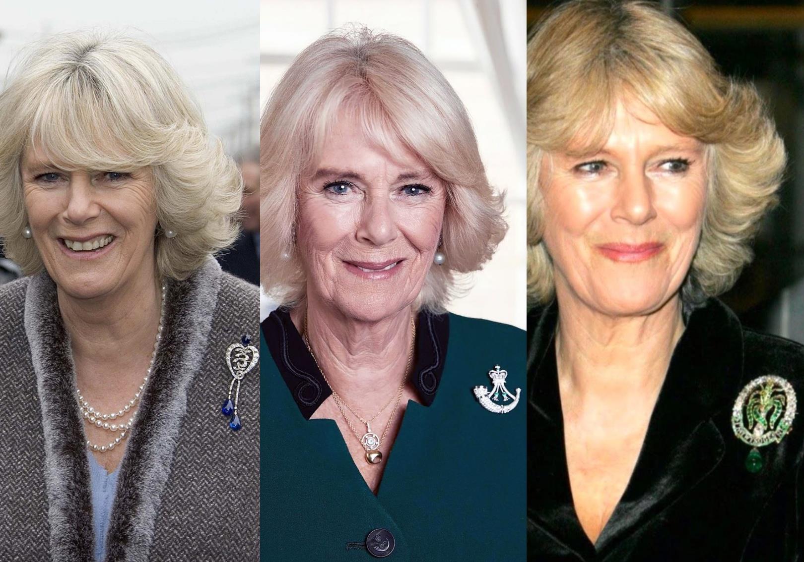 查尔斯|卡米拉和戴安娜珠宝PK，谁的数量更多？