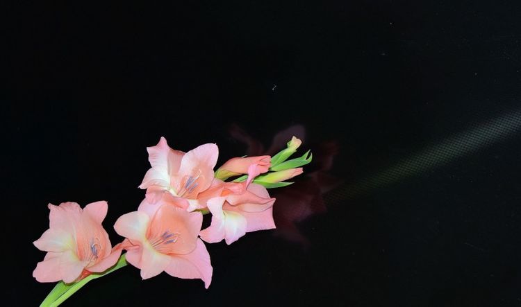 什么是红通通 c4d4ad98f05d4e0ebf8ebfaa5c6a9aed.jpeg