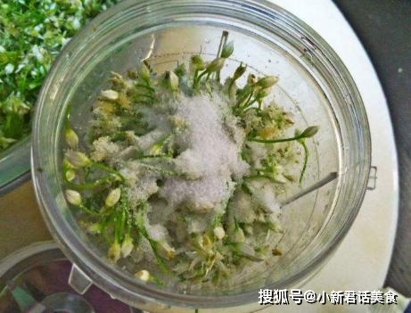 什么时候韭菜花就开了 e44a18dfc3d9420695f01f9bd37e4e8b.jpeg