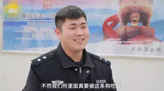 金毛走丟被送進派出所，結果把派出所吃窮了，民警直呼養不起 萌趣萌寵 第5张