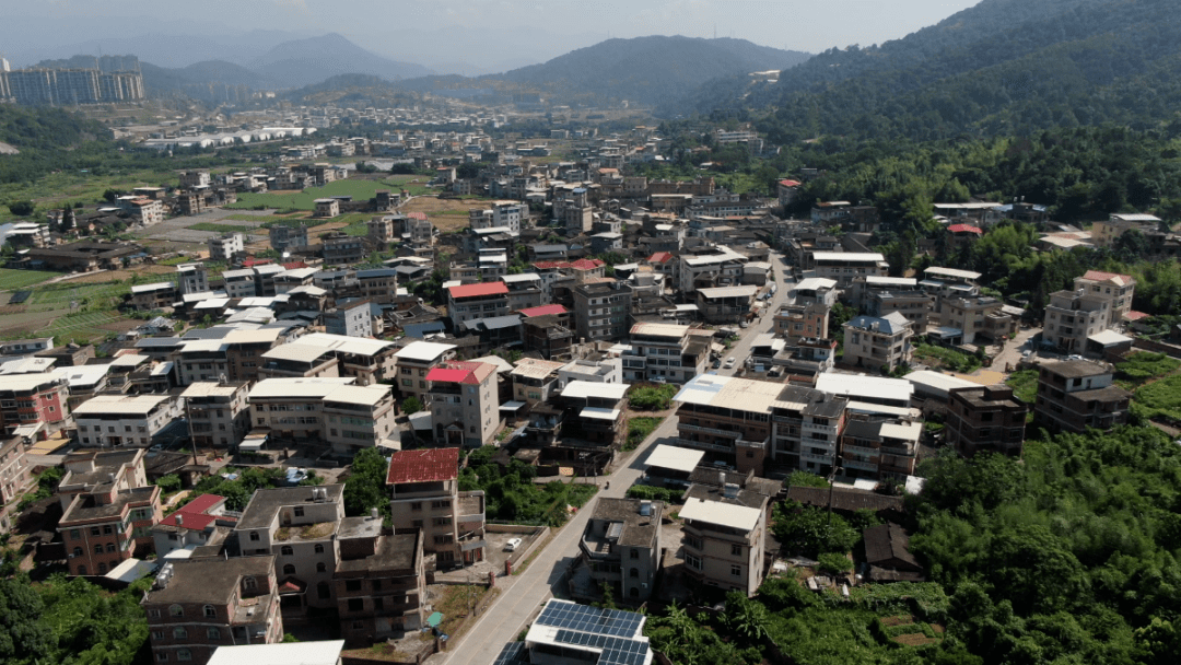 龙岩|龙岩市新罗区红坊镇上洋村：传承红色基因 共谋致富道路