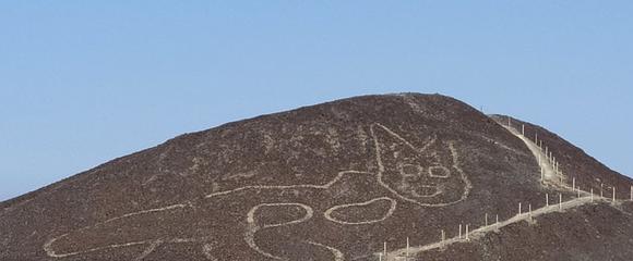 神秘纳斯卡巨画又添新发现，嗜血文明离奇消失，背后原因让人深思_搜狐网