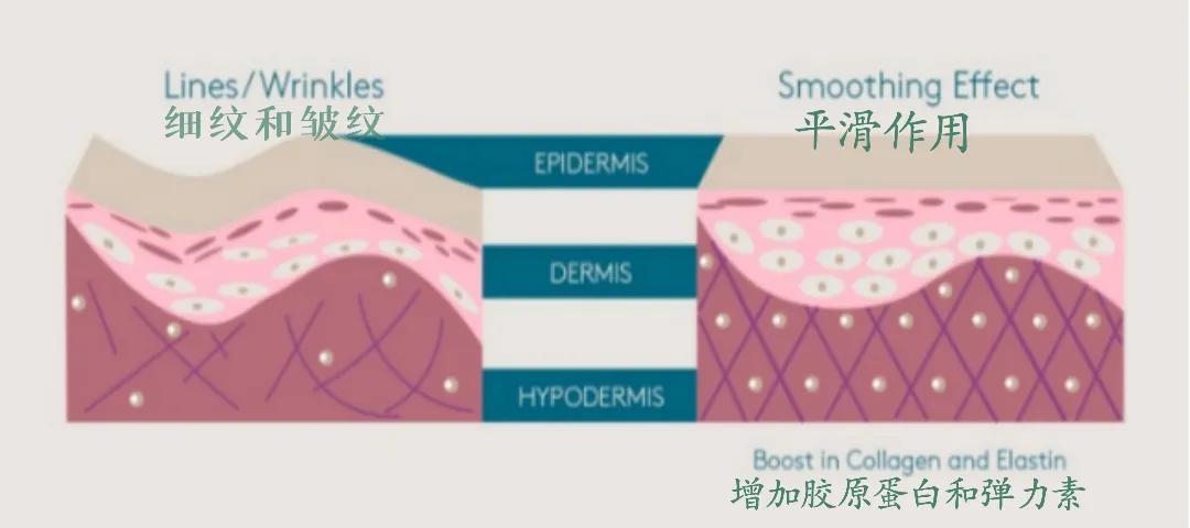 共同点|女明星美貌的共同点原来是......