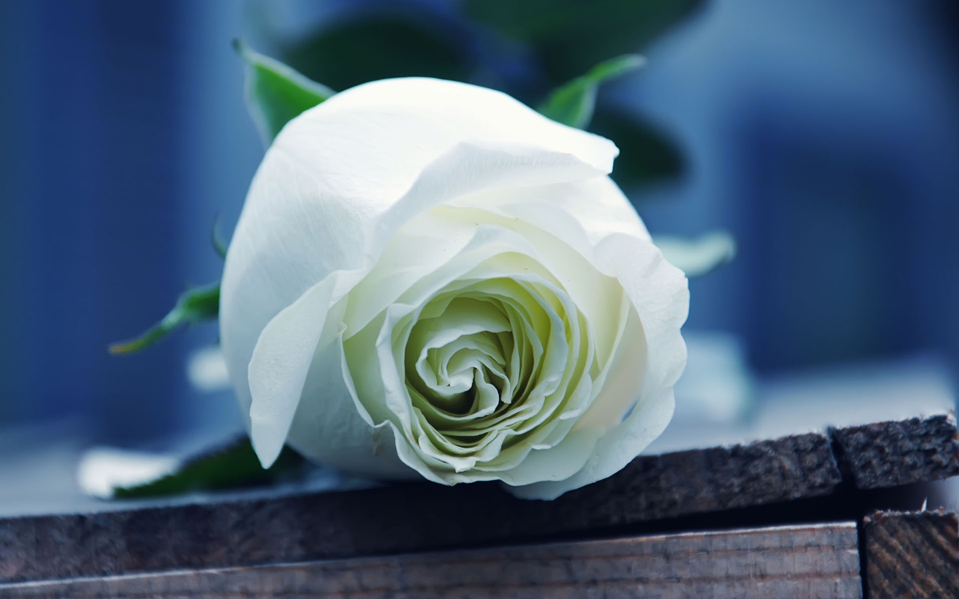 8月4日星座运势 巨蟹灵活变通 天蝎与时俱进 射手思路清晰 工作