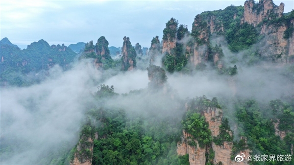 检测|本轮疫情传播双中心，以往不曾出现过！张家界：所有人员不得离开