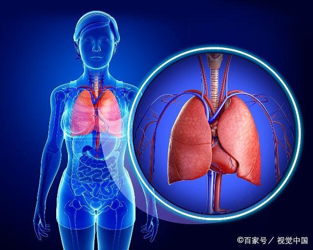 肝脏|肝不好有4个信号,如果你也中了,该养肝了!