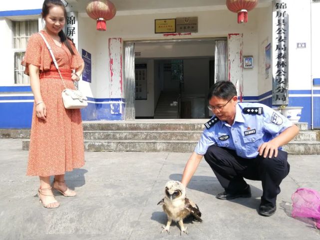 林二狗老婆图片 4cbd9cd81dce44c2b9c628ef6b7eb123.jpeg