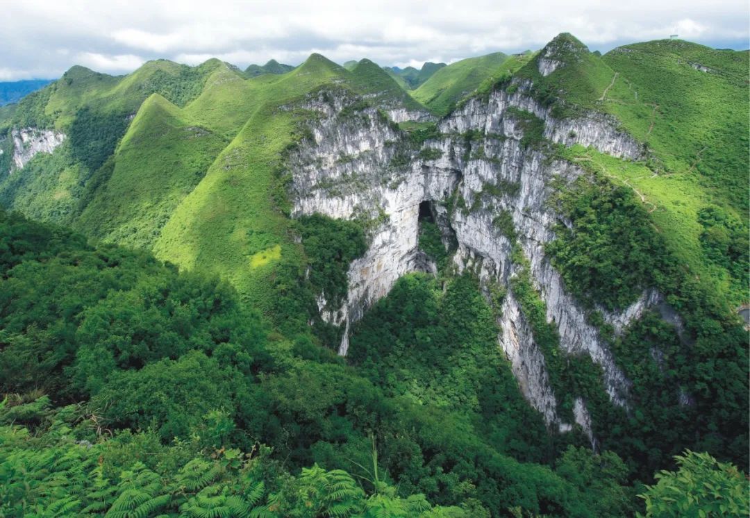 樂業大石圍天坑 圖源:樂業-鳳山世界地質公園