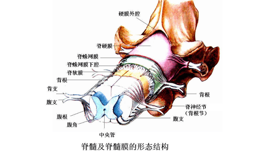 c0760ae5f2c345fb98508cc603a808a4.png