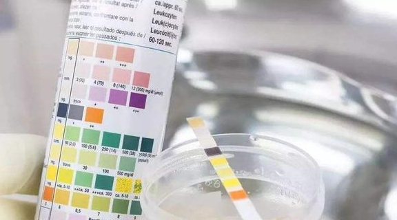 废物|这些指标预示肾功能下降，恐患慢性肾病，啥时候透析？医生告诉您