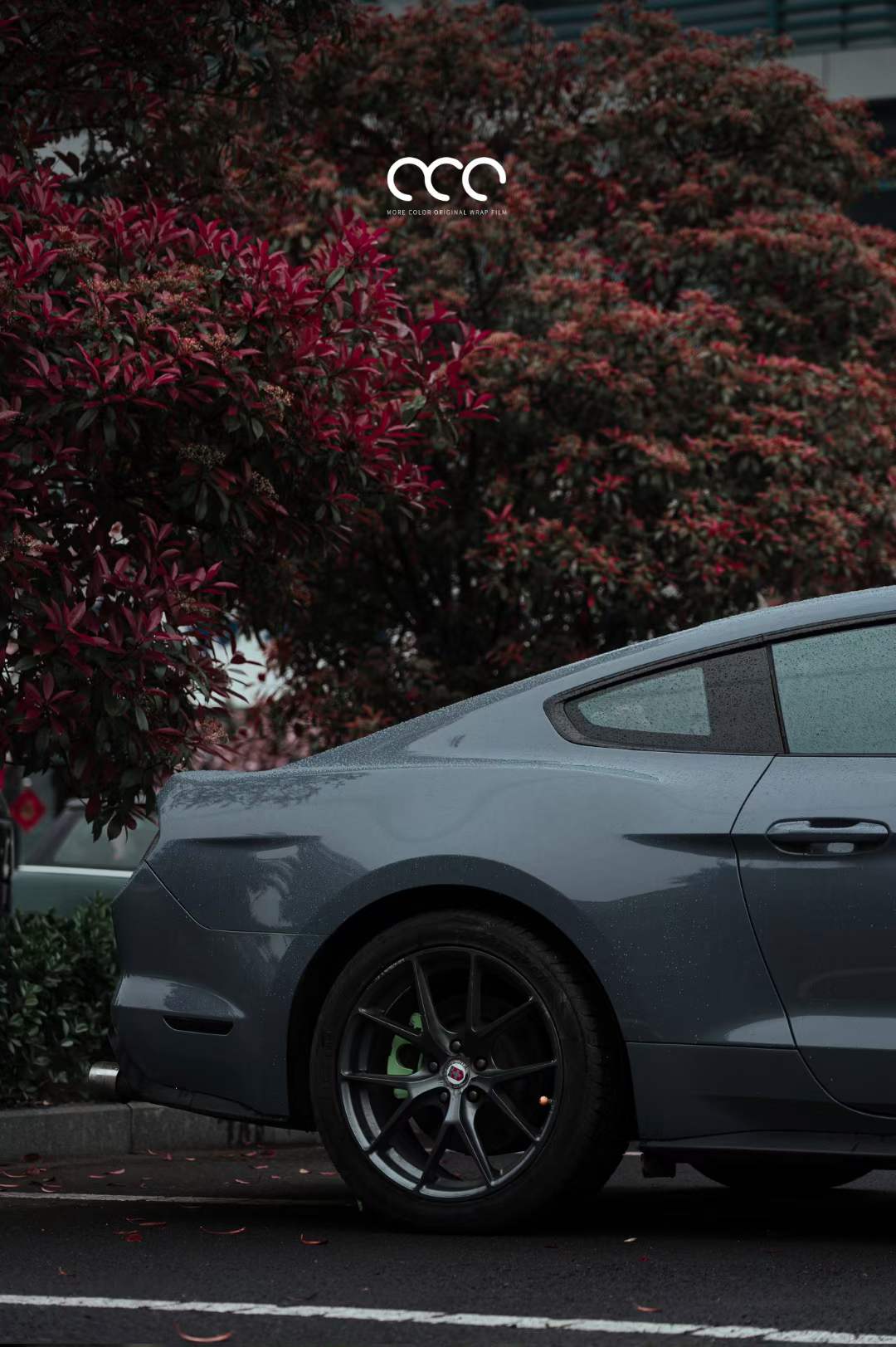 野马汽车贴膜漫彩改色膜亮水泥灰