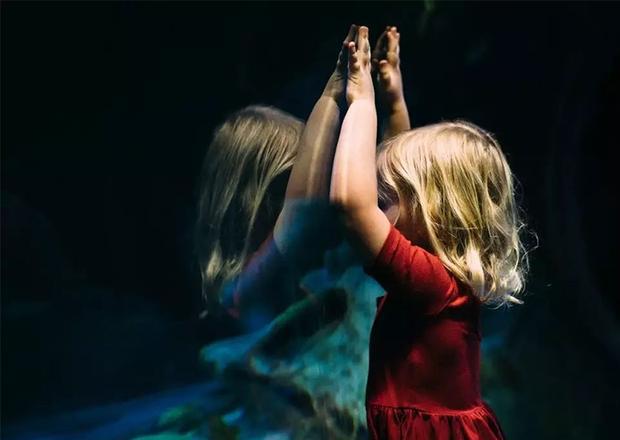 小孩|始于谦让，毁于比较，开放二胎五年，第一批二胎老大已“阵亡”