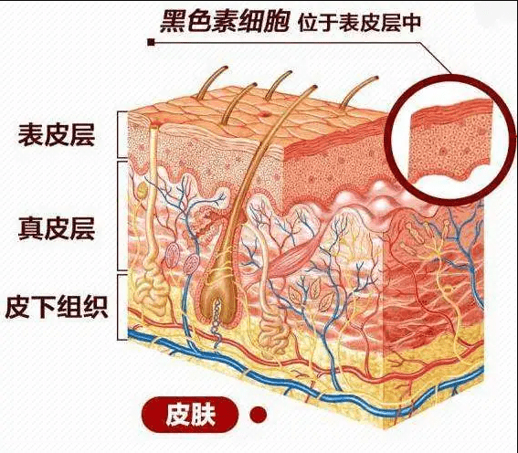 急救|晒伤秒褪红，这个夏天晒后修护神器我只认它