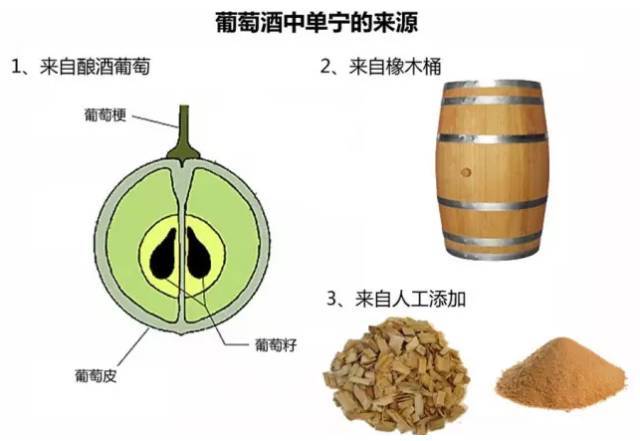 齐韵小|【齐韵小课堂】葡萄酒圈的“火星文”,你能听懂几个?