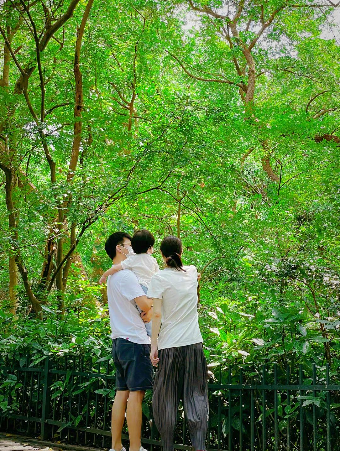 我国|恭喜！吴敏霞官宣怀二胎，晒出一家三口合影庆祝