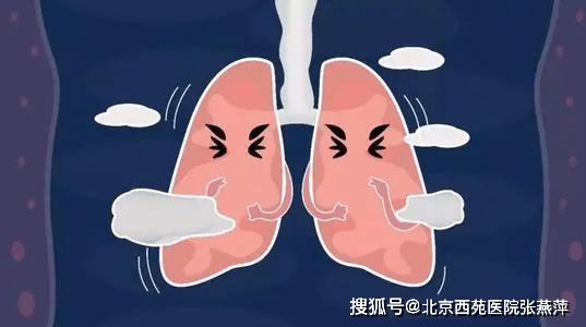 治疗|肺纤维化是怎么回事