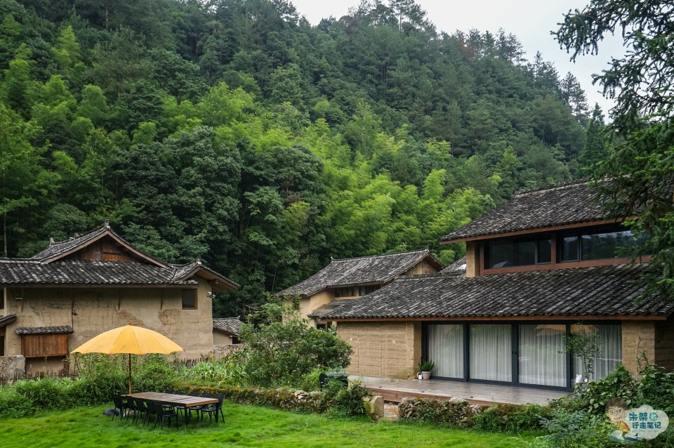 历史|我选择走进泰顺，去邂逅这座秀美的“山中江南”（附2天1夜攻略）