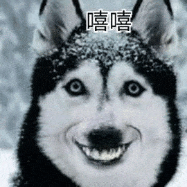 纯种|二哈被关在笼子里闷闷不乐，主人拿来酸奶，下一秒画风突变