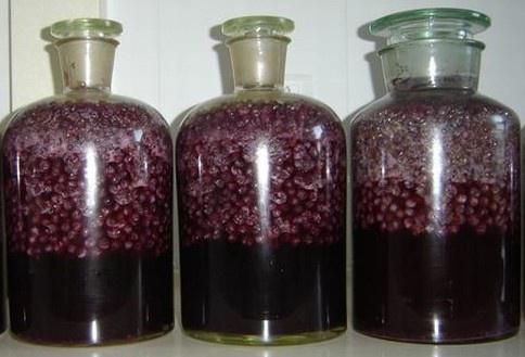 酿酒|传成酒械告诉你自酿葡萄酒为何容易甲醇超标