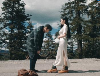 原著|电视剧全网热度榜出炉：《司藤》被拉下“神坛”，“黑马”剧夺冠？