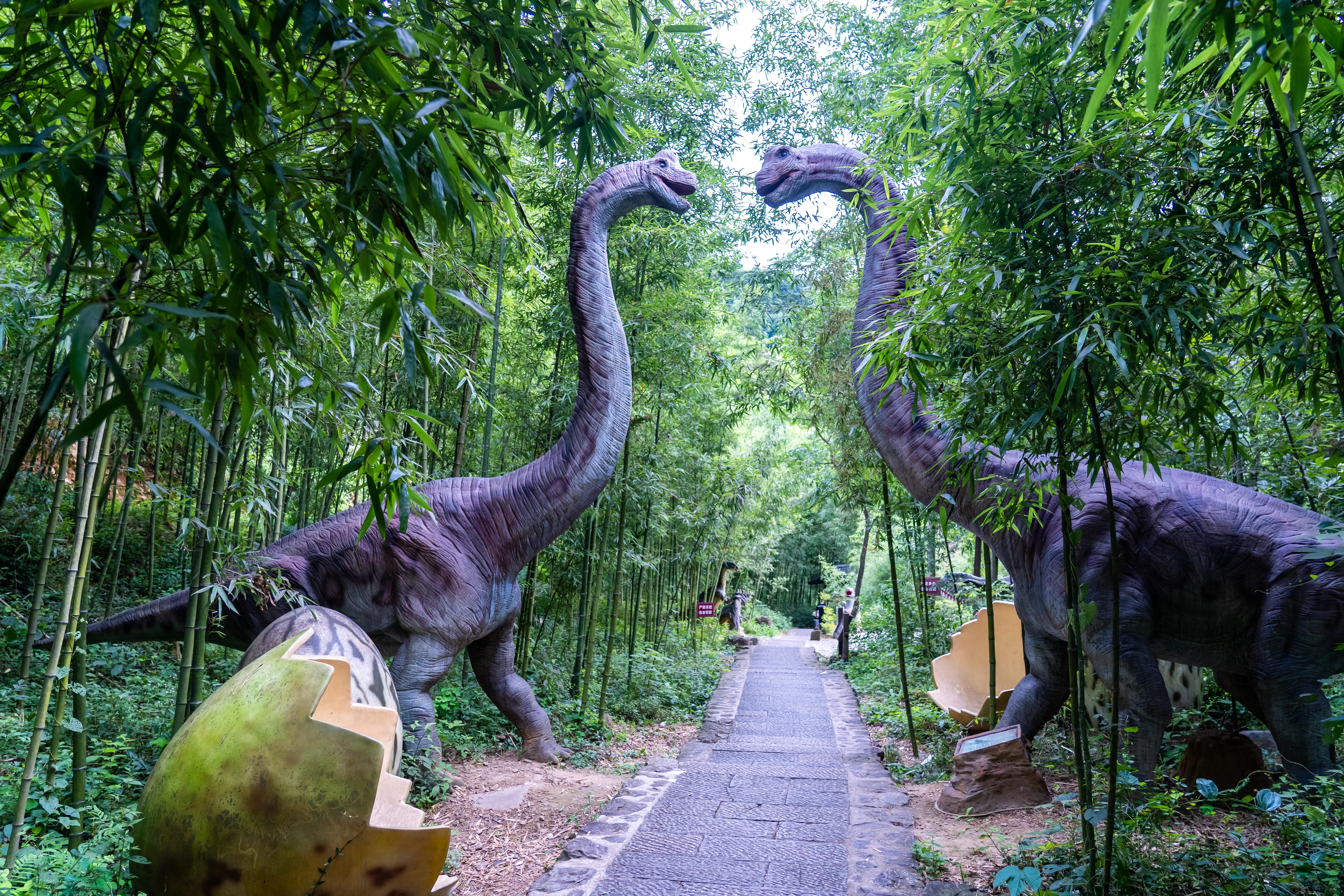 美景|旅游浙江天子地，体验世界最长玻璃漂流，还有天空之镜等各种美景