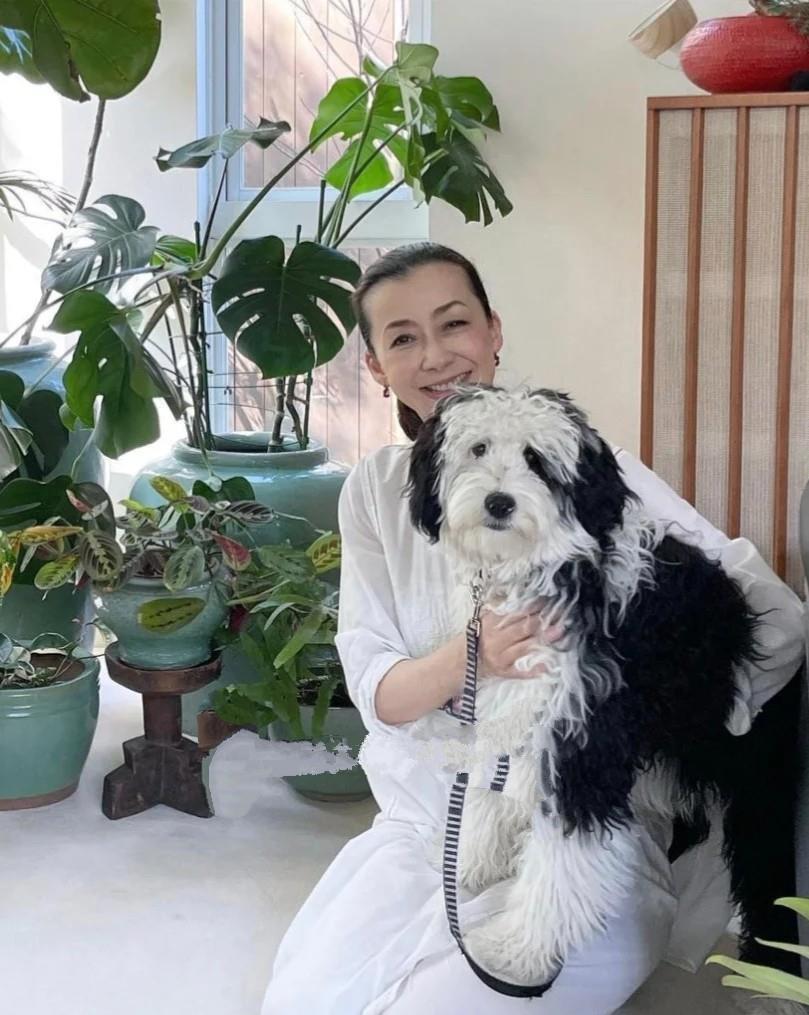 美人|优雅不分年龄,日本姐姐近60岁依旧美丽端庄,这才是岁月不败美人