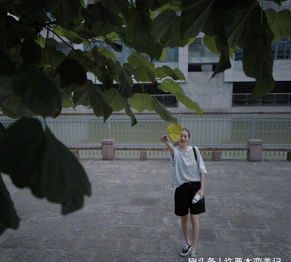 下装|穿白T恤“土到掉渣”？2个穿搭重点，3种风格造型，教你变高手