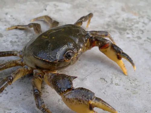 病毒|8岁男孩喝生奶后，发烧两个月：这6种食物宁肯扔掉，也不能生吃