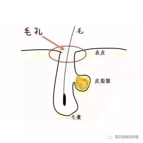 产品|为什么你的皮肤总是不吸收？