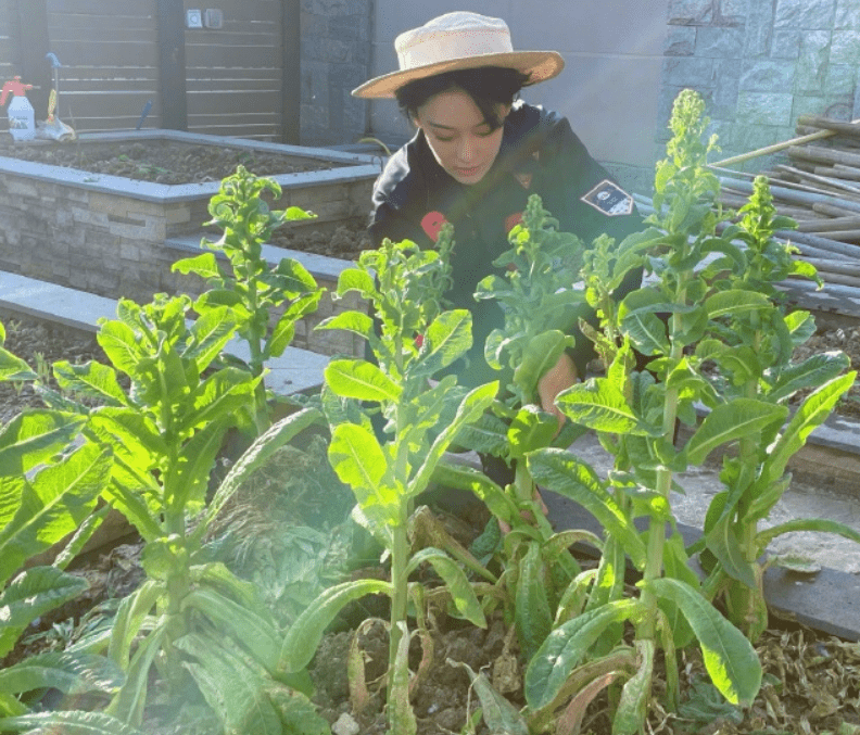 張馨予的家不是一般大 種菜種花不算啥 家庭版魚池太豪華了吧