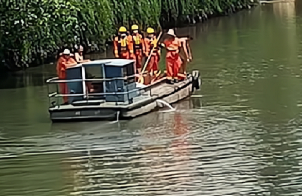 因为|22岁双胞胎因早餐争吵坠河，弟弟得救哥哥溺亡，网友：余生阴影