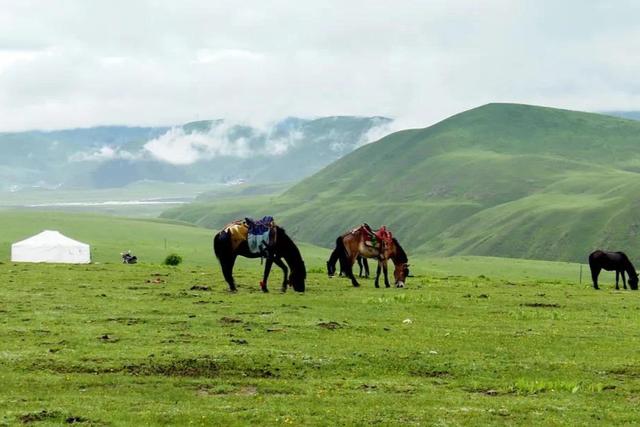 四川人不用远赴新疆，川西这条自驾路线，7月景色等同新疆