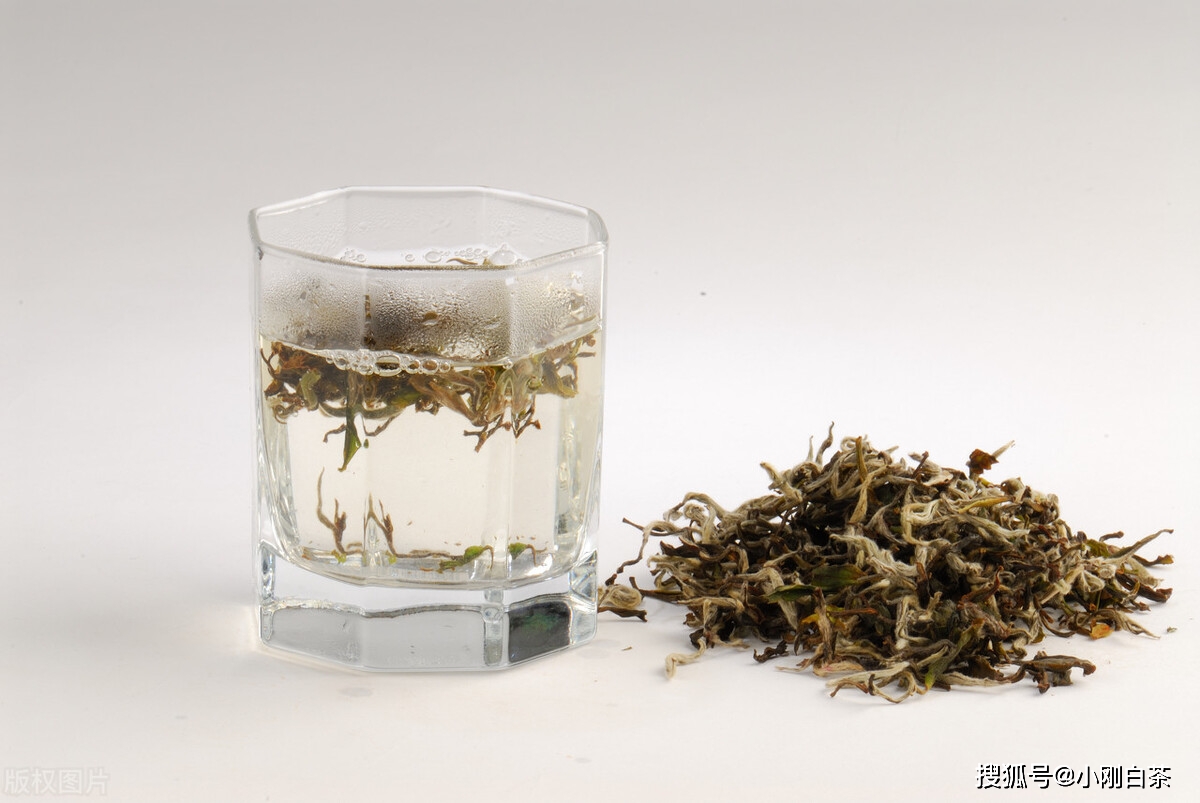福鼎|福鼎白茶最怕什么？你知道吗？