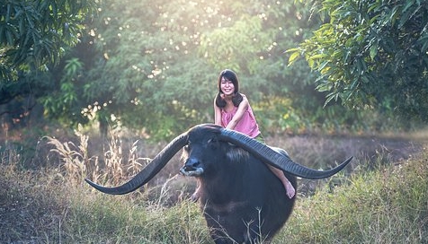 性激素|有人问更年期什么时候是个头？建议大家先掌握这些缓解措施吧