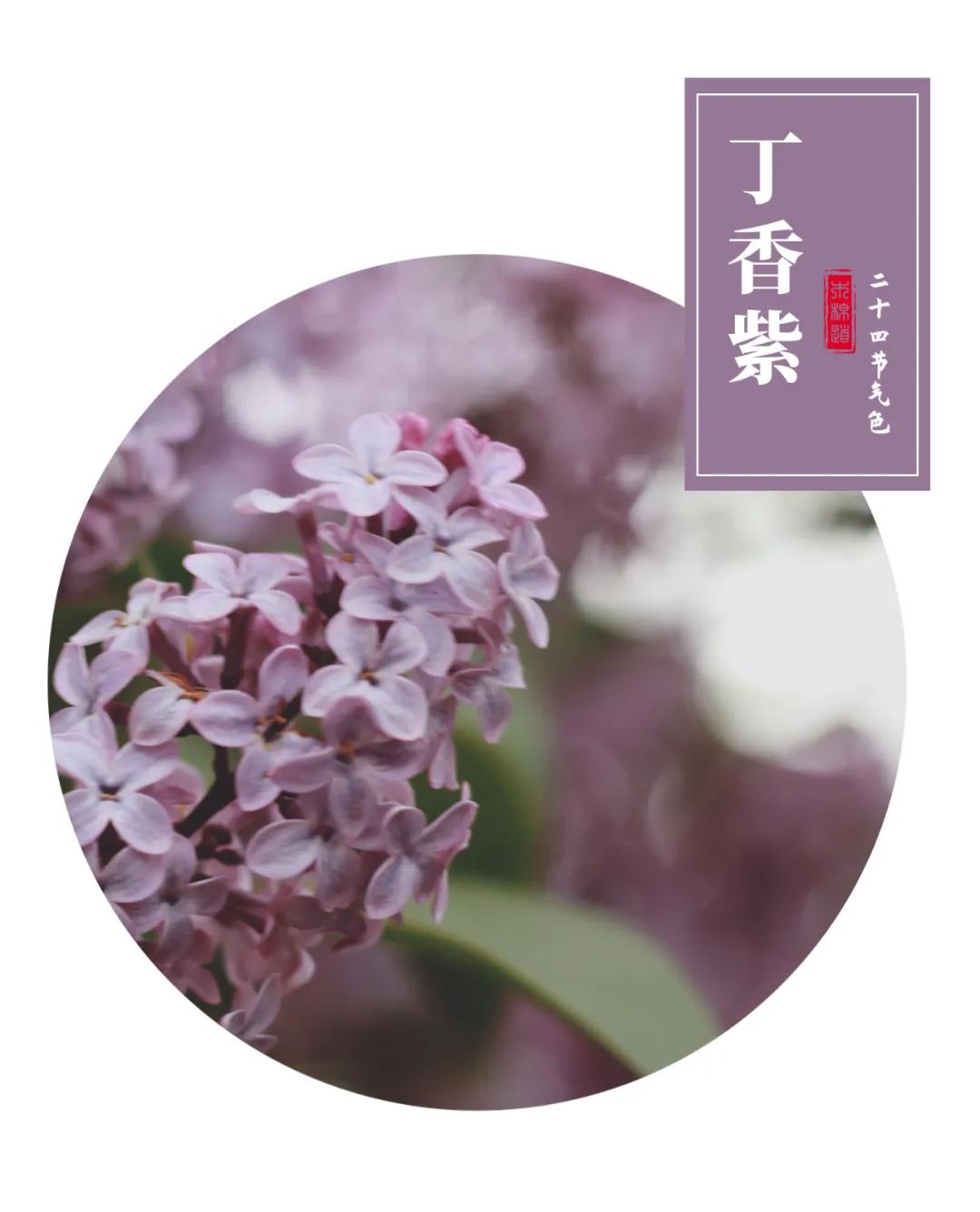 廓形|木棉道·新品 | 秋天的第一条连衣裙