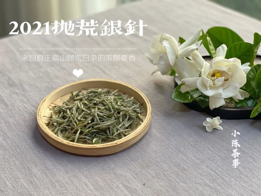 沸水|85℃热水与100℃沸水，哪个水温更适合白茶？你喝对了吗？