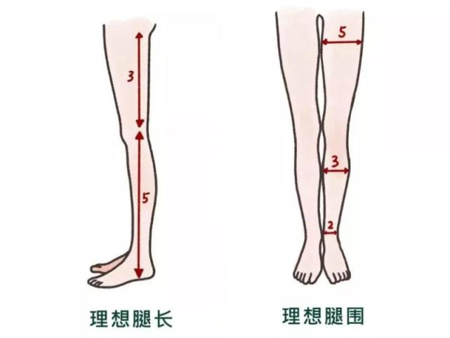 好身材|杨幂脚踝17.2cm，李沁脚踝19.5cm，这么细的脚踝是真实存在的吗？