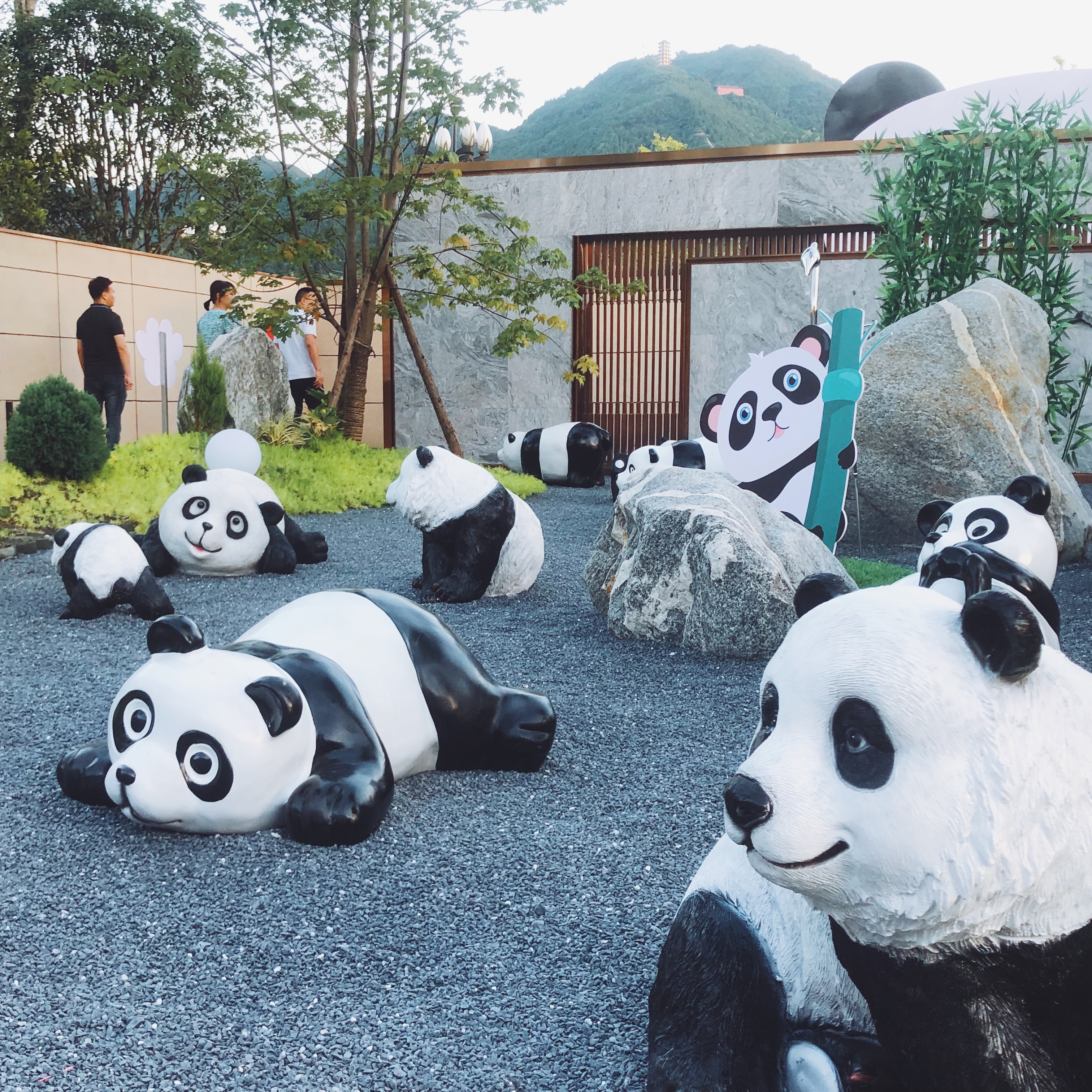 地方|超萌！打卡旺苍最浪漫的地方，适合情侣和小朋友，不去真的可惜