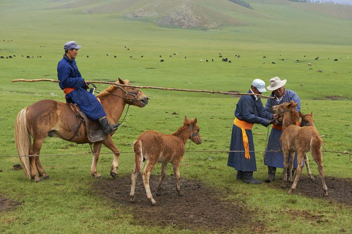 蒙古，女人强势崛起的背后