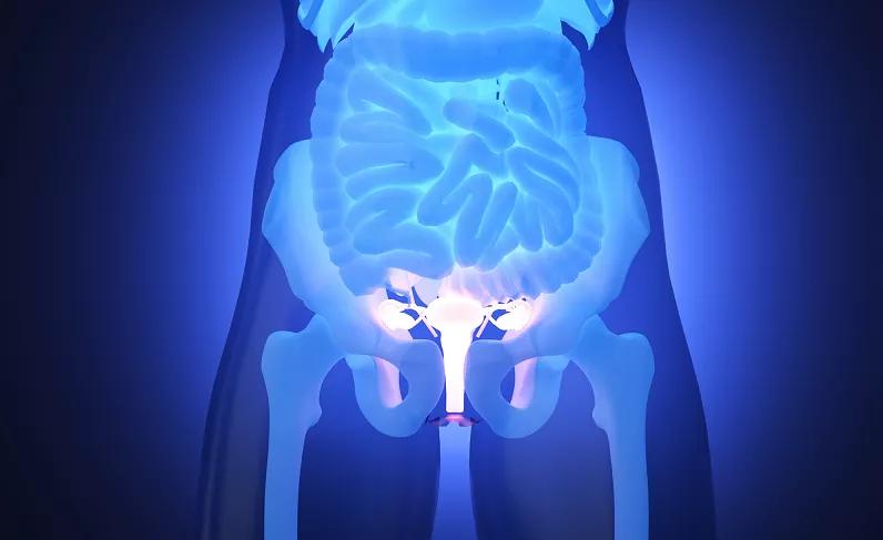 组织|体检查出囊肿，会变成癌么？要切除么？