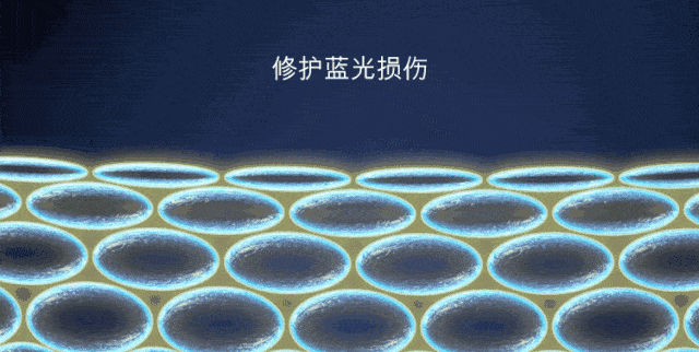 眼睛|眼部保养重在“润”！用它一喷好舒服，细纹慢慢膨了起来