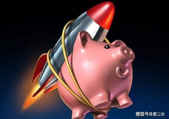 跳水|预警升级！8月12日，猪价跳水，玉米、小麦行情“变脸”！