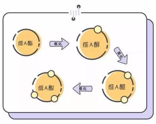 全懂|早C晚A护肤是什么？科学吗？看完这篇你就全懂了！