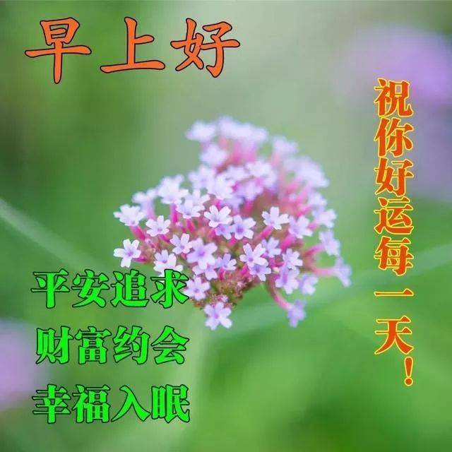 半岛体育8月最新免打字聊天的中老年早上好表情包 不用打字聊天的早安问候祝福图片(图5)