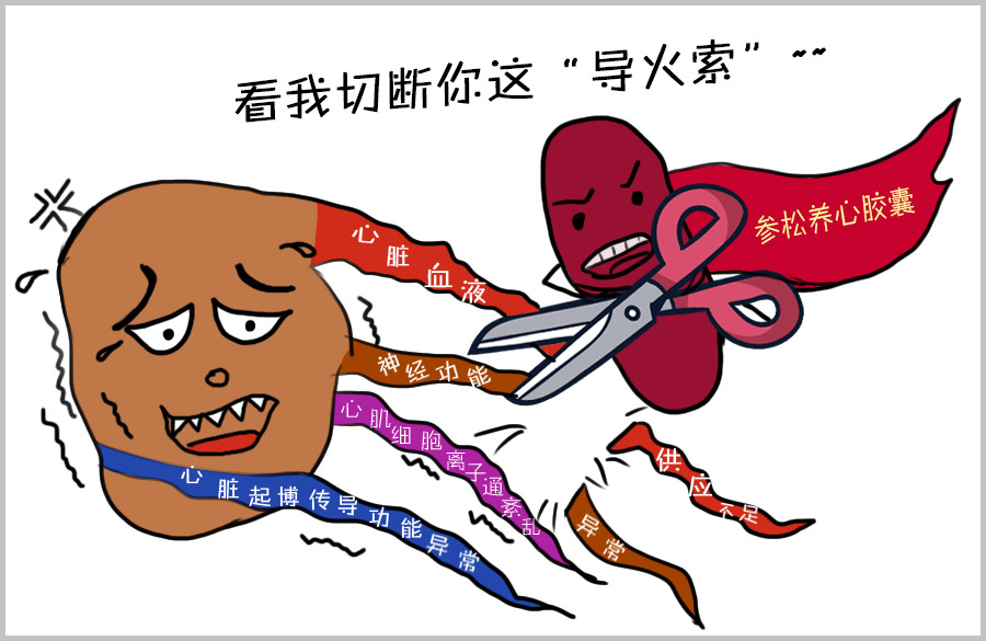 心律|对抗心律失常不如有效调节心律失常