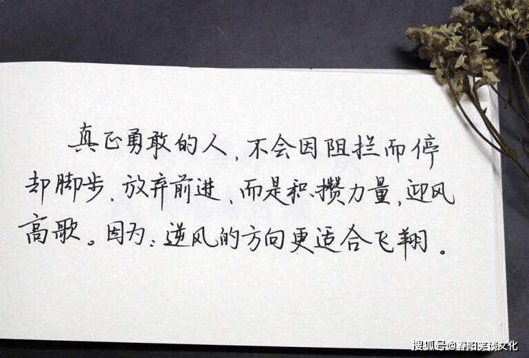 关于生活很现实有道理的哲理说说短语(深度好文)