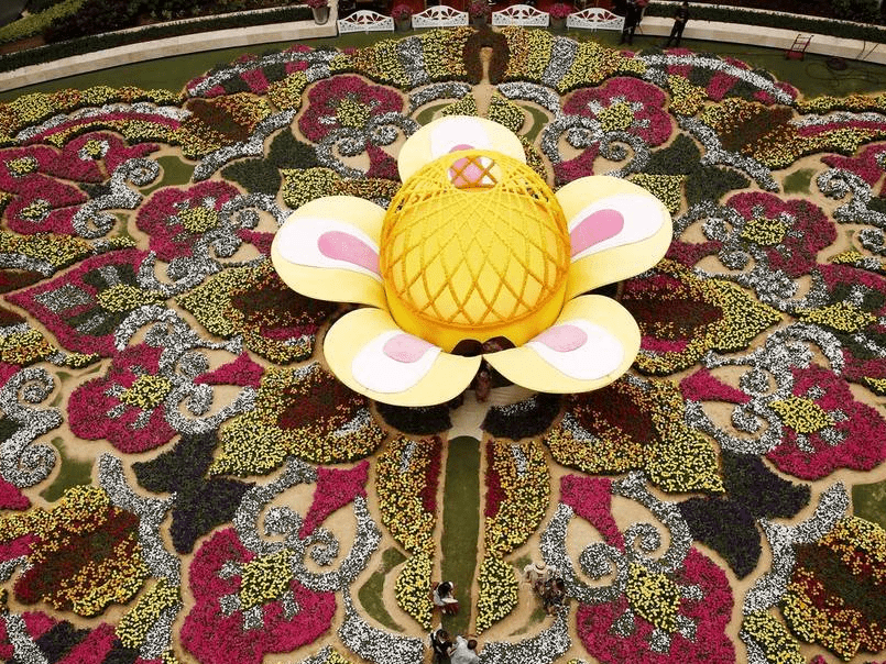 哥伦比亚麦德林现巨型花坛