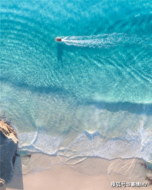 天藍色的大海風景圖片_好看的海邊海豚圖片素材